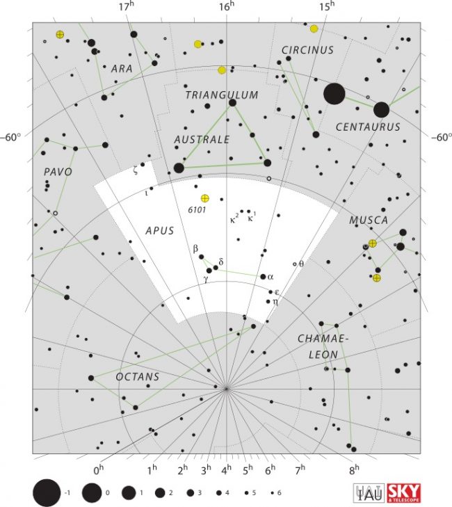 White chart with radial grid and black dots for stars showing Apus.