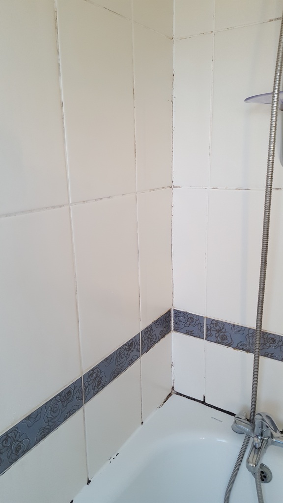 Ceramic bath tiles before refresh Hale Village