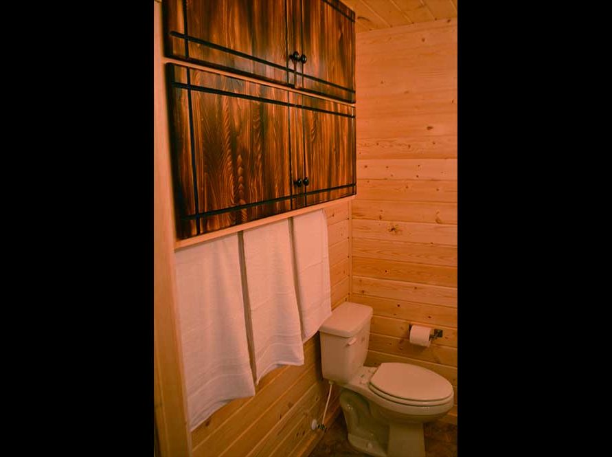 Premier Cabin Bathroom