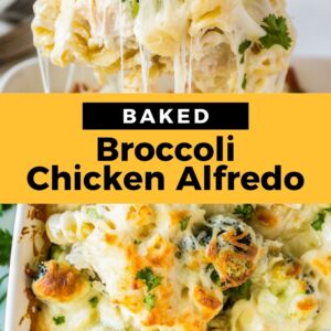 broccoli chicken alfredo pinterest