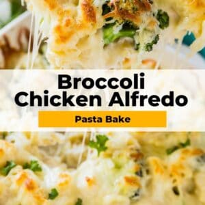 broccoli chicken alfredo pinterest