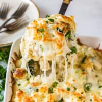 featured broccoli chicken alfredo