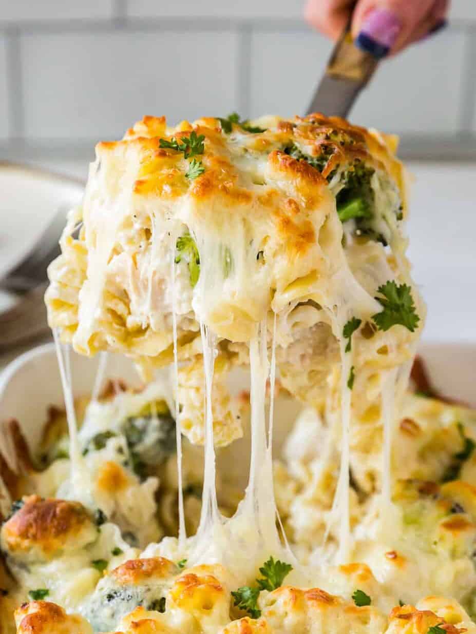 spoonful of cheesy broccoli chicken alfredo