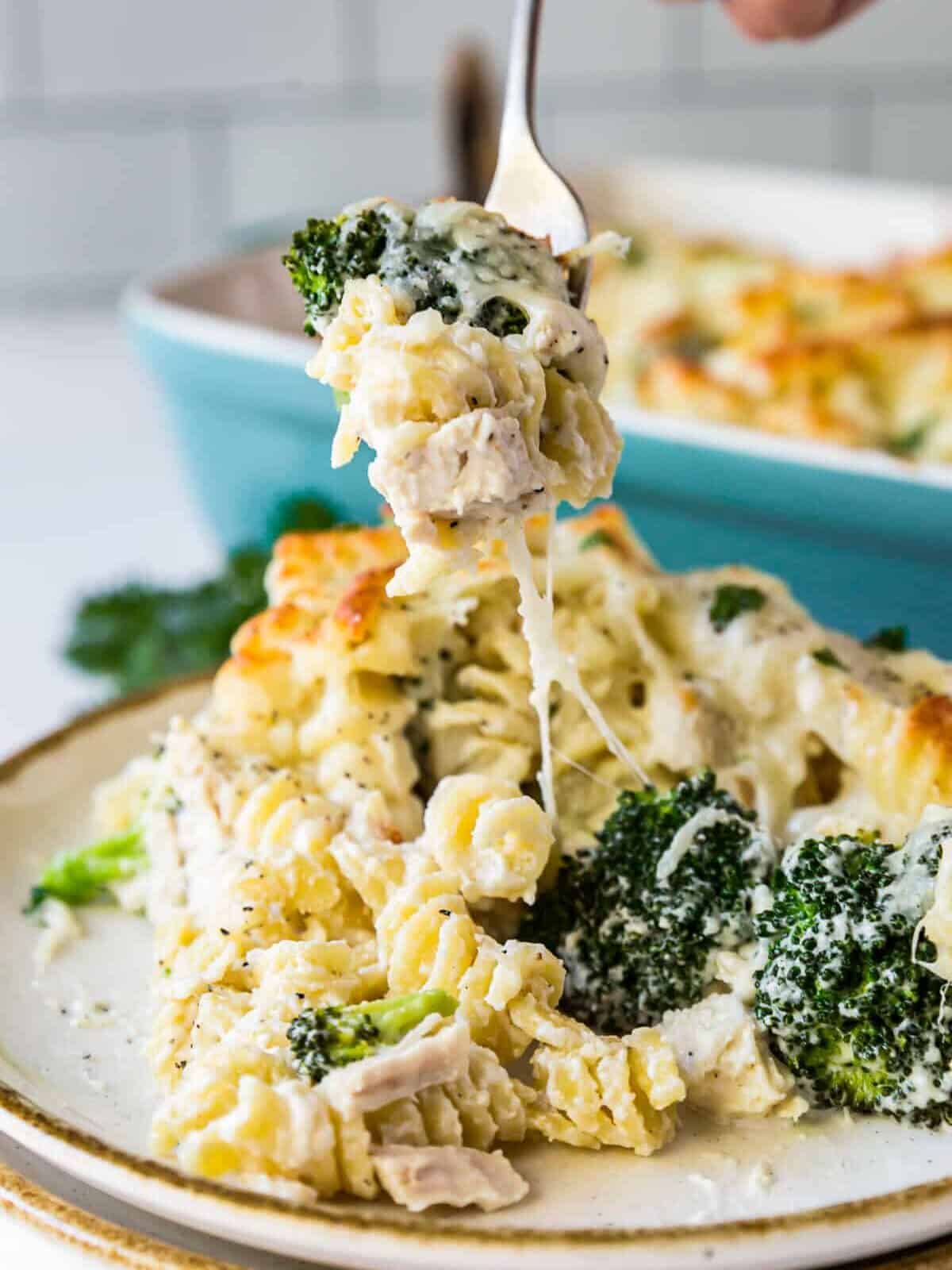 plate of broccoli chicken alfredo