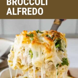 easy chicken broccoli alfredo recipe