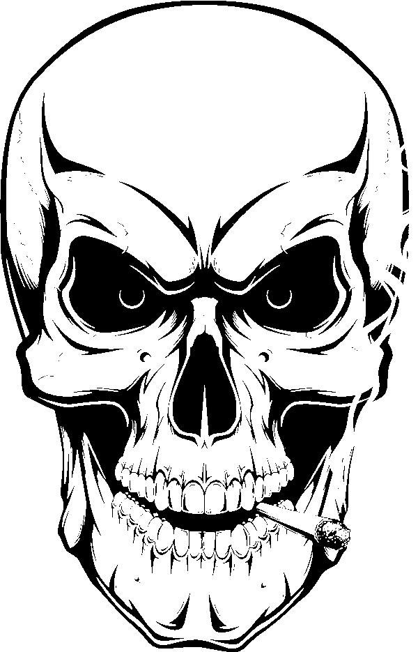 skull drawing
human skull drawing