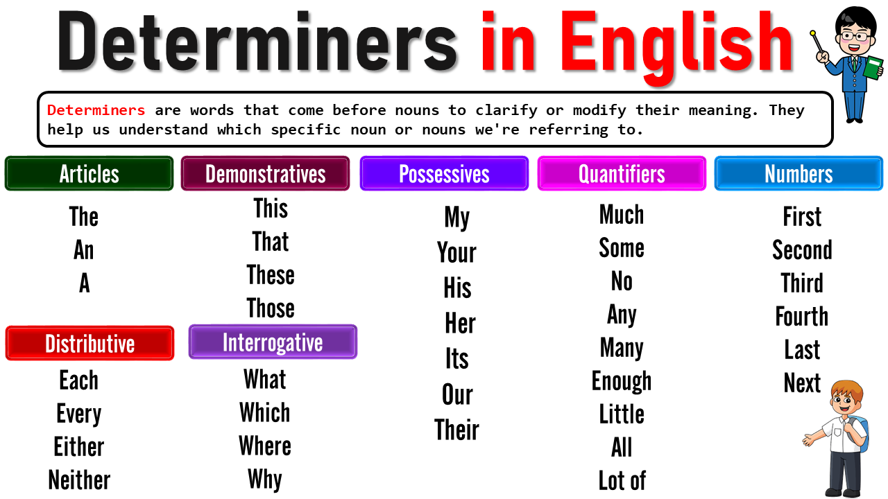 Understanding Determiners in English: Types and Examples - EasyEnglishPath