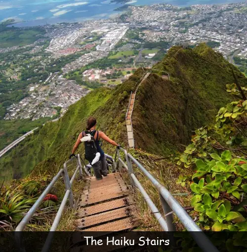 Fun Facts for Kids about The Haiku Stairs