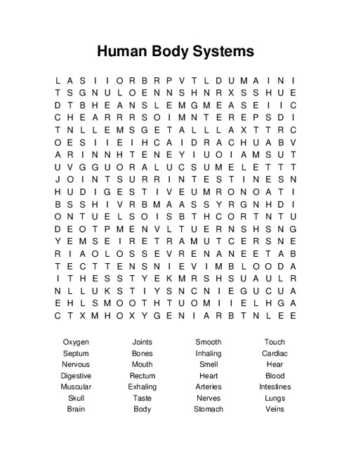 Human Body Systems Word Search