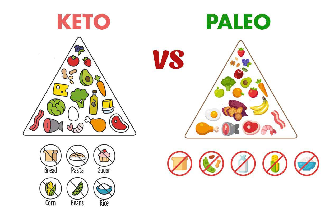 Ketogenic Diet Vs Paleo Fresh Keto Vs Paleo How Do these Popular Diets Pare