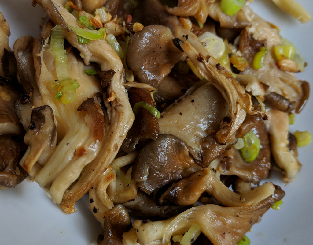 Preparing Oyster Mushrooms Awesome Oyster Mushroom with Garlic Recipe