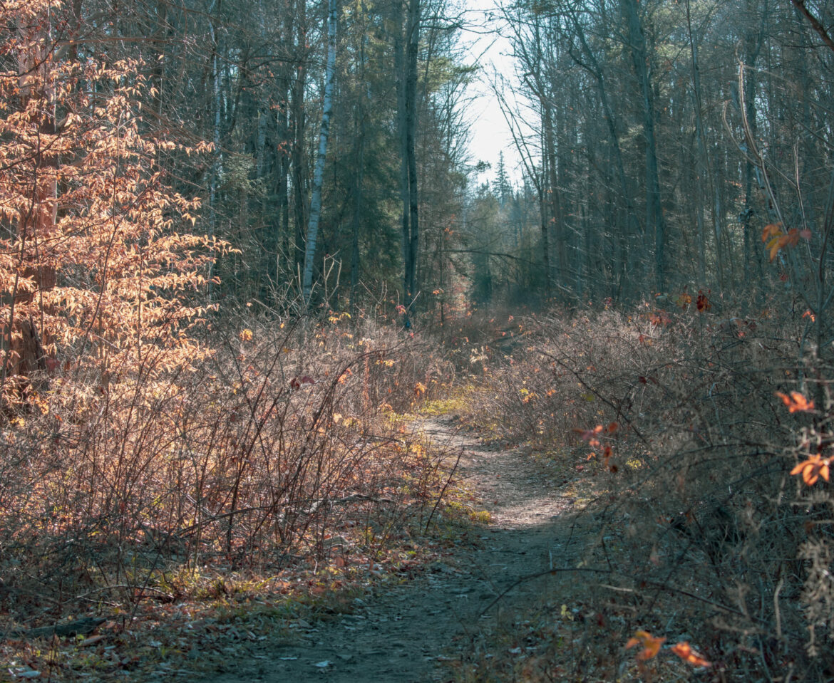 Lime Kiln and Beaver Pond Trail