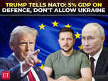 I understand Putin's stand': Trump fumes at NATO:Image