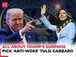 Who is 'anti-woke' Tulsi Gabbard, US' new spy chief:Image