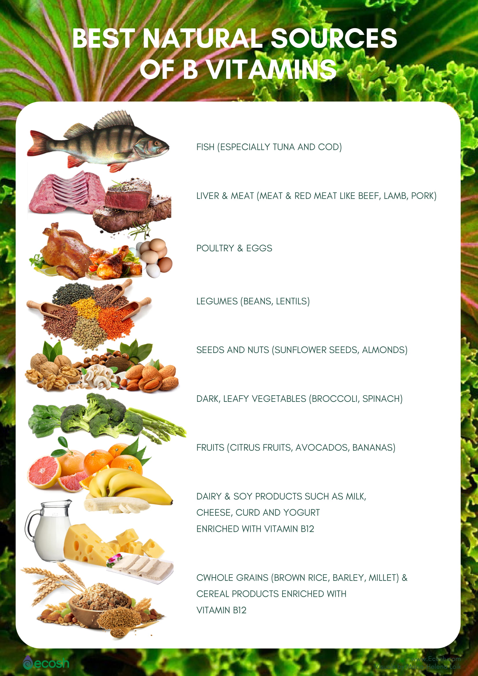 Vitamin B Foods image.