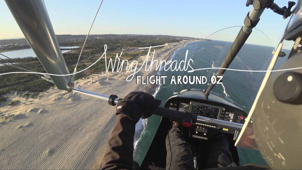 Wing Threads - Fly like a shorebird