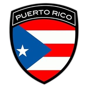 Amazon.com: Puerto Rico Flag Badge Sticker/Decal: Automotive