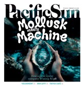 Pacific Sun E-edition