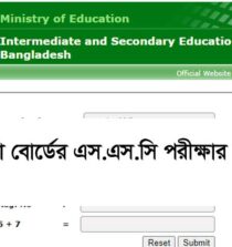 SSC Result 2024 Dhaka Board