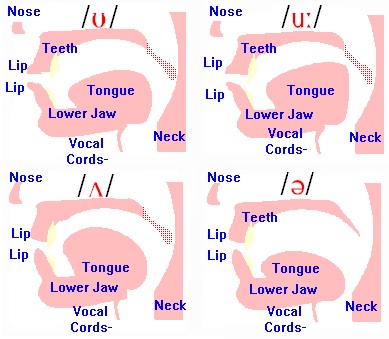 Sounds Pronunciation