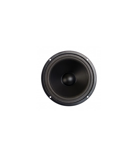 Paper Cone Series Woofer Megaphone with Black Foam Edge 6\\", 8Ω, 120W.