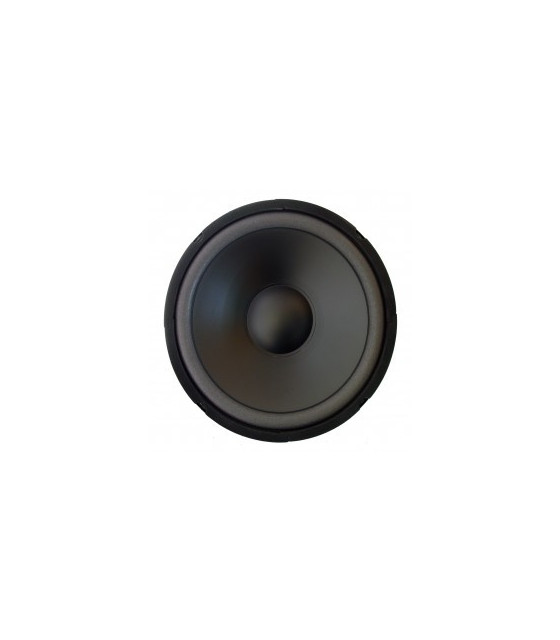 High-cut Wave Paper Cone Series Woofer Megaphone with Black Foam Edge 10\\", 8Ω, 250W.