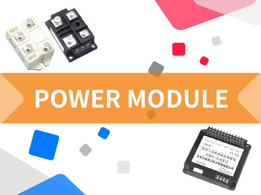 What is the Solid State Module (SSM)?