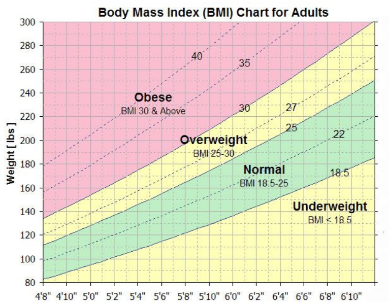 Printable Bmi Chart Nhs Printable Chart | Images and Photos finder image.