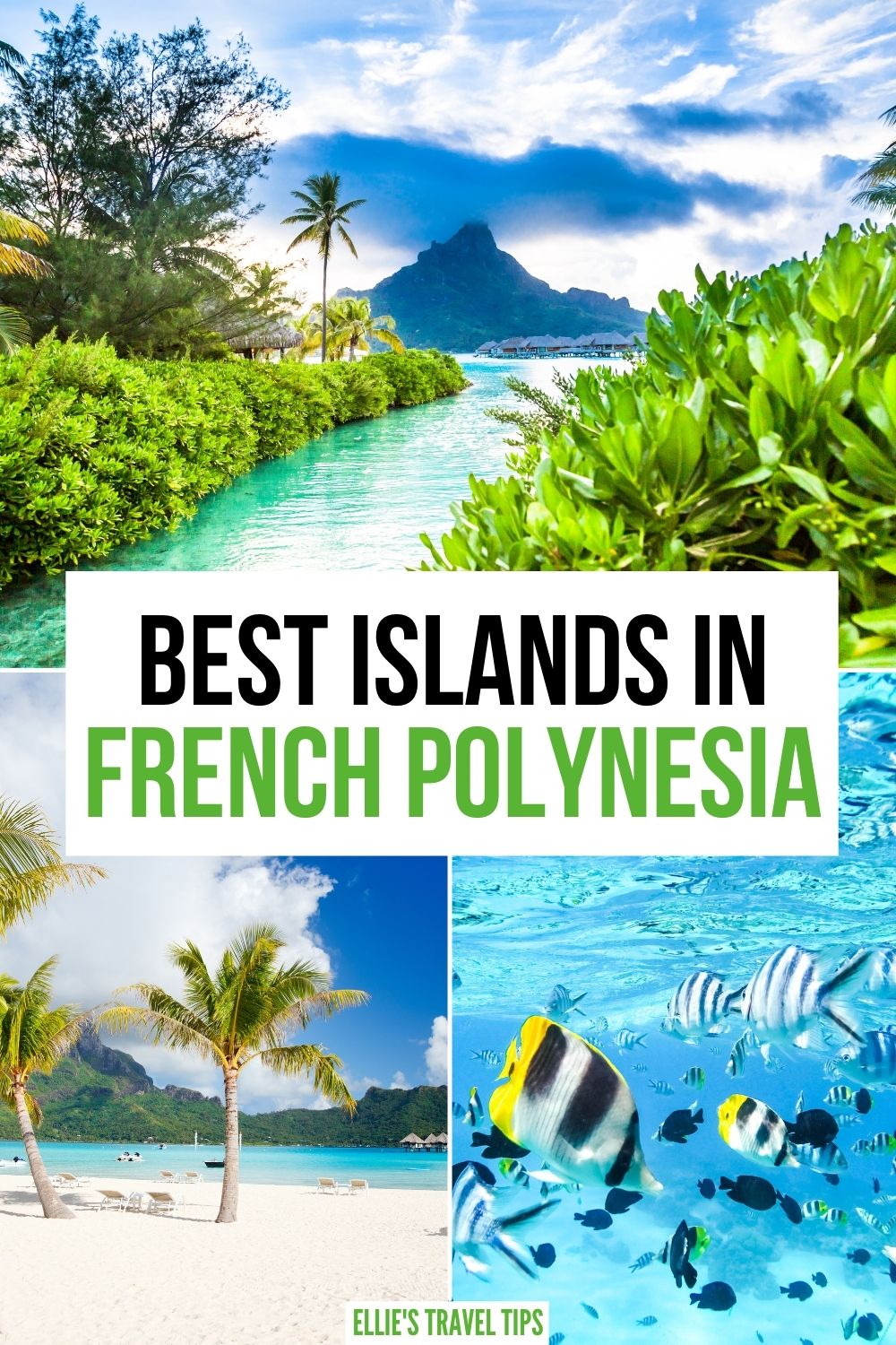 islands in french polynesia