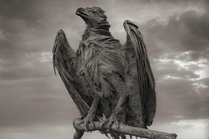 Las especies que caen en sus aguas instantáneamente son petrificadas. Foto: Nick Brandt