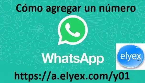 Cómo Agregar un Número celular de Ecuador a Whatsapp