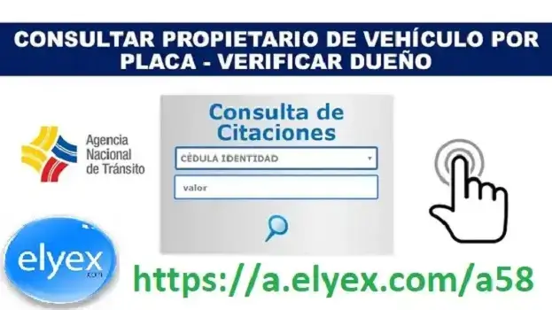 Buscar propietario de vehículo por placa