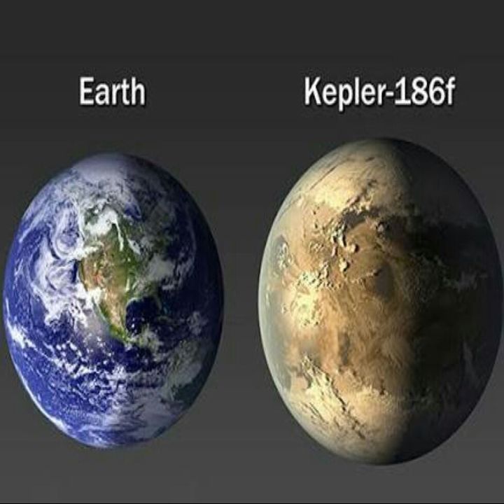 Image result for 7). kepler 186f