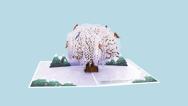 popup card of a weeping willow in winter scene