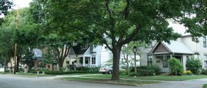 Long shot of residential buildings on the side of a street in the Church Street Historic District. Tall lush trees grow on the road verge. Other trees, green bushes and lawns adorn the houses' front yards.