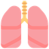 Cómo se ve el emoji Pulmones en Microsoft.