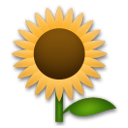 Cómo se ve el emoji Girasol en Lg.