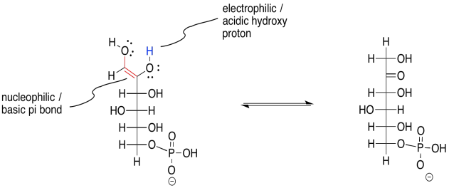 Glycolysis