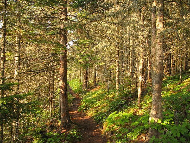 UNESCO World Network of Biosphere Reserves and their tourist attractions and activities from across the United States, America, US, Isle Royale National Park, Michigan