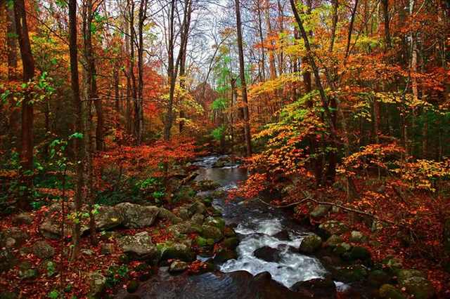 Smoky mountains in autumn