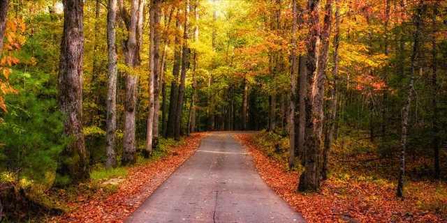 Smoky mountains in autumn