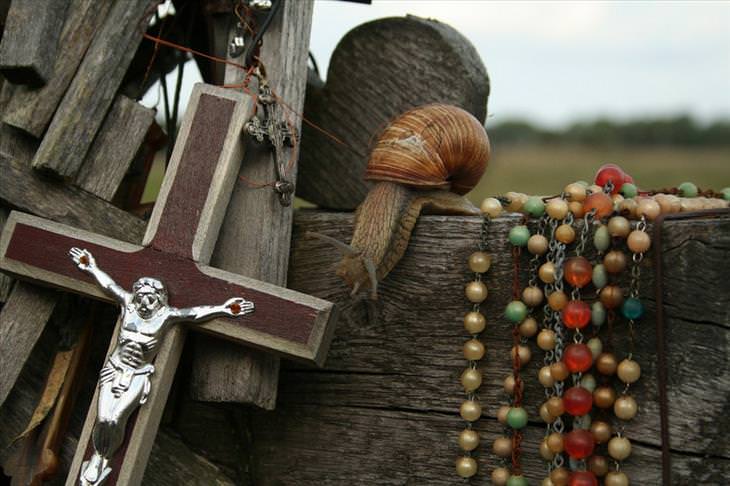 Lithuania, hill of crosses, travel, Christian