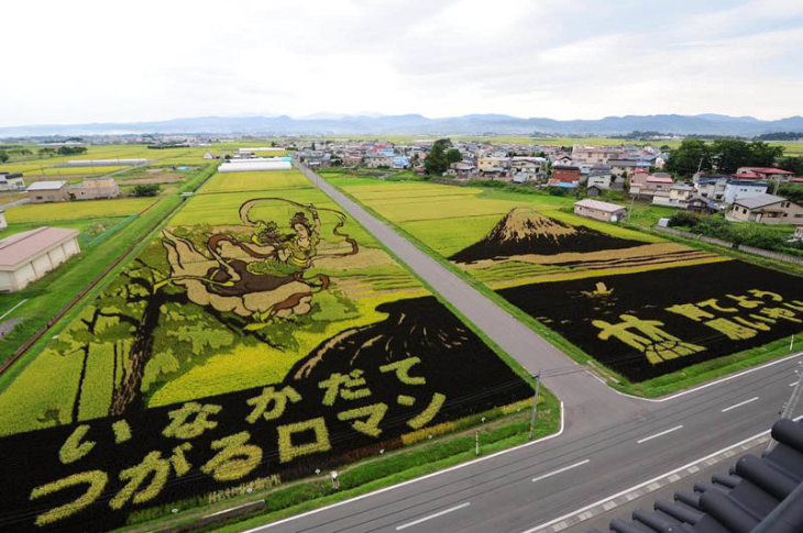 Rice Paddy Art