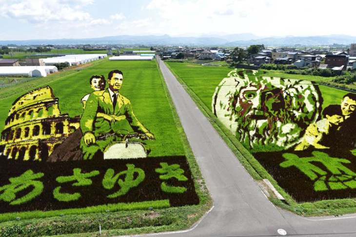 Rice Paddy Art