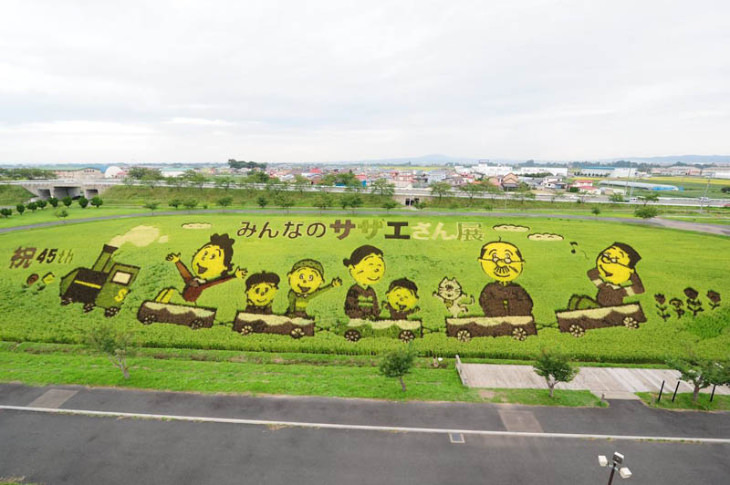 Rice Paddy Art