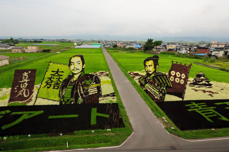 Rice Paddy Art