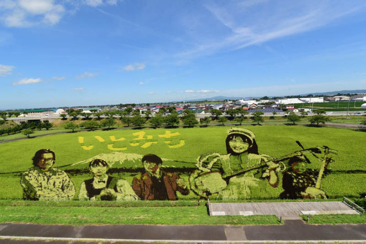 Rice Paddy Art