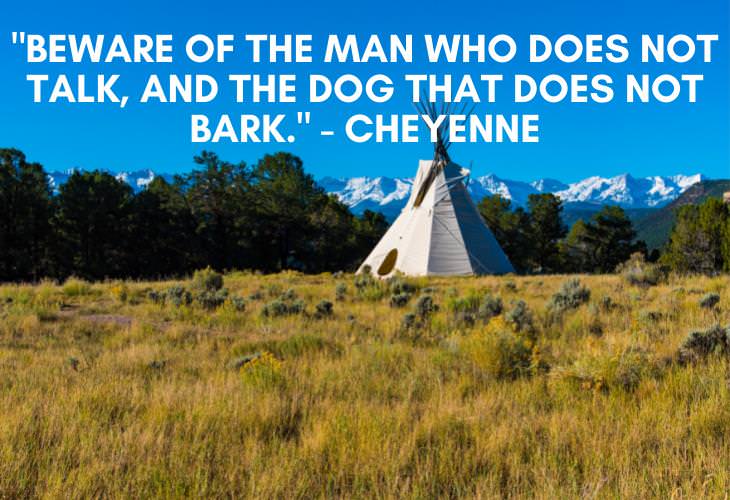 Native American Proverbs, beware