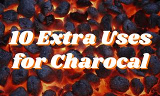 10 Extra Uses for Charcoal Briquettes