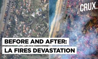 California LA Wildfires' Aftermath: Before & After Scenes